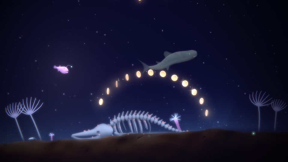 The whale fall in the Boneyard under its arch of coins, with the sleeper shark above it