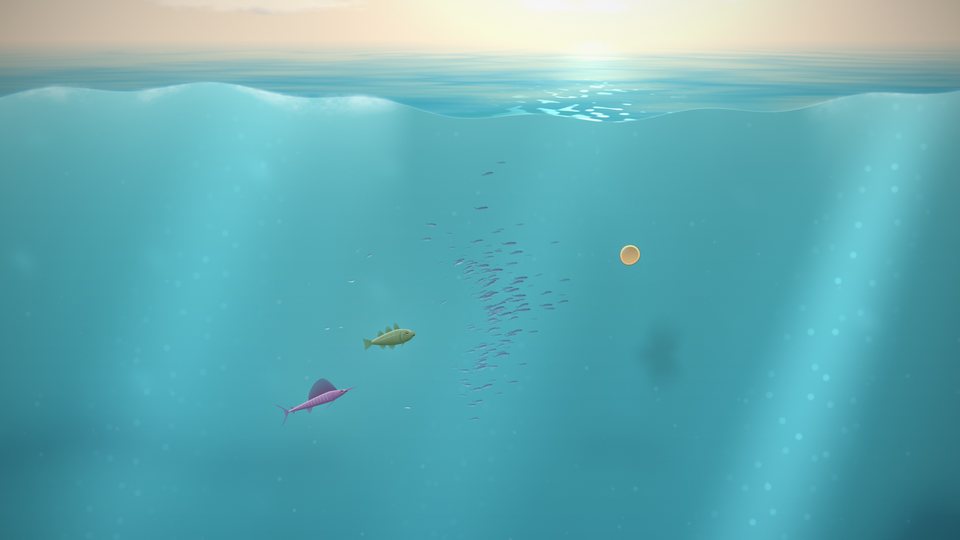 The bright shallows under the swell, with a school turning